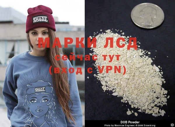 тгк Аркадак