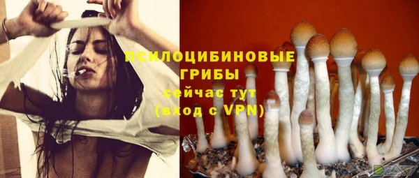 гашиш Арсеньев
